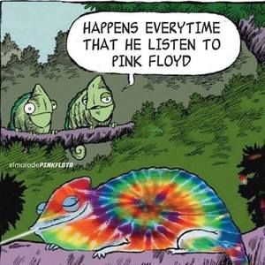 Meet your Posher, Luanne